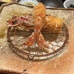 subin - 