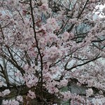団欒 - 