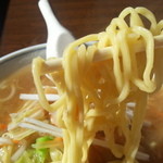 七味ラーメン - 縮れた太麺です