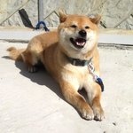 クインズケーキ - 素敵な笑顔でお出迎え！(2015,02/15)