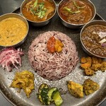 Curry Spice Gelateria KALPASI - 