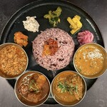 Curry Spice Gelateria KALPASI - 