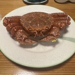 352095404 - 