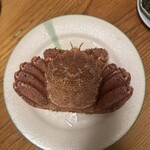 352095407 - 