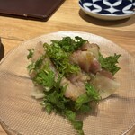 DRAナイン - 