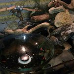 Cafe 婆沙羅 - トイレもお洒落！