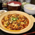 松の樹 - 