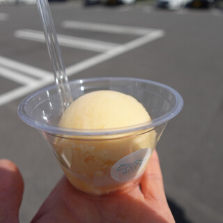 FRUIT FACTORY yukiusagi_1