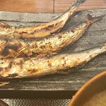 しんぱち食堂 - 料理写真: