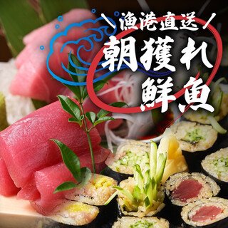 【漁港直送鮮魚】全国から直送！朝どれ鮮魚と豪華あて巻