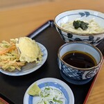 おおはし - 料理写真:野菜天もりうどん