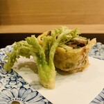 鴨蕎麦 尖 - ②【進肴：天ぷら2種】
・筍、唐墨+蛍烏賊の和物の蕎麦粉入り湯葉巻き
・タラの芽の蕎麦粉揚げ