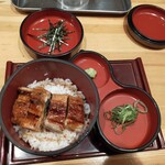 自家製麺 竜葵 - 