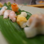 千春鮨 - おまかせ握り