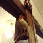 富士屋ホテル - ヘレンケラーの尾長とり・・