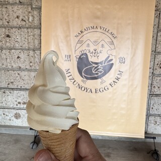 水野谷鶏卵店_0