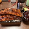 川魚 根本