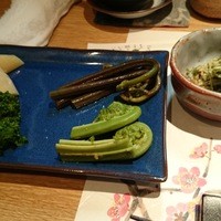 宿木 - ぜんまい、わらび