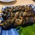 登川 - 料理写真: