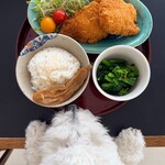 金澤屋牛肉店 - 持ち帰りお惣菜のささみカツでおうちランチです。