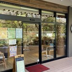 Cafe vivo tree - 
