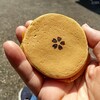 郷の恵 風輪 - 