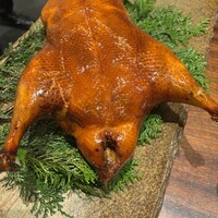 新中国料理HARAKAWA 北新地店 - 