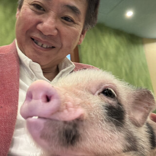 マイピッグカフェ_1