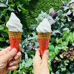 カフェ ブリッコ - 料理写真: