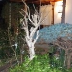 実は、左手には素晴らしい庭がある。