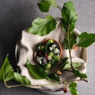 ル スプートニク_2