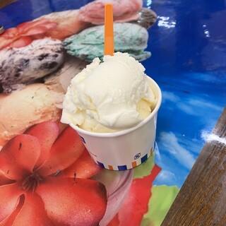 千々石観光センター 千鶏カステラ本舗_1