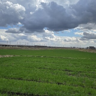 忠兵衛 ピース_0