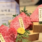 燒肉割烹 YP流 西心齋橋店 - 