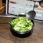 鍋焼らうめん ひさし - やっぱり二階堂軍団はネギ増しでつ！！別皿提供✌︎('ω'✌︎ )