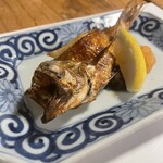 酒肴 新屋敷 - のどぐろ