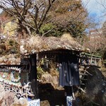 竹やぶ - 