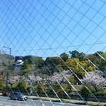 和み処 響心 - 