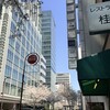 レストラン桂 - 
