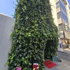 ラフレッサ - 