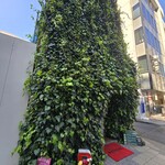 ラフレッサ - 