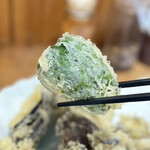 KATSURA - 