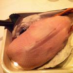 トルナヴェント - 新潟県の網取り青首鴨