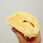 スギノキ - 