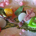 日本料理 「さくら」  - 桜鯛と春野菜のサラダ仕立て（アップ）
