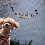 oishi 吉山 - 