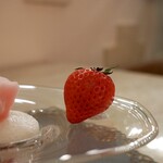 Le Jardin de Kamo - 