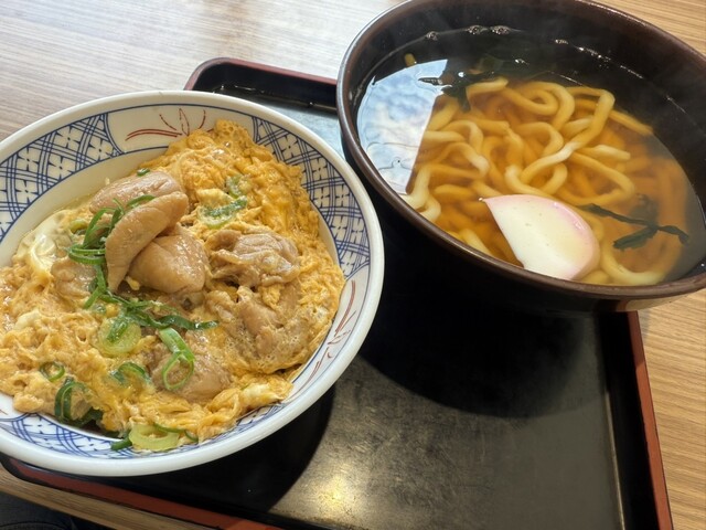 Dondon Nagato minamiguchi ten - Nagatoshi/Udon (Wheat noodles