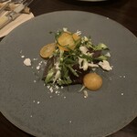 352511105 - 