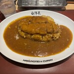 旨辛カレー専門店 白洋亭 - 